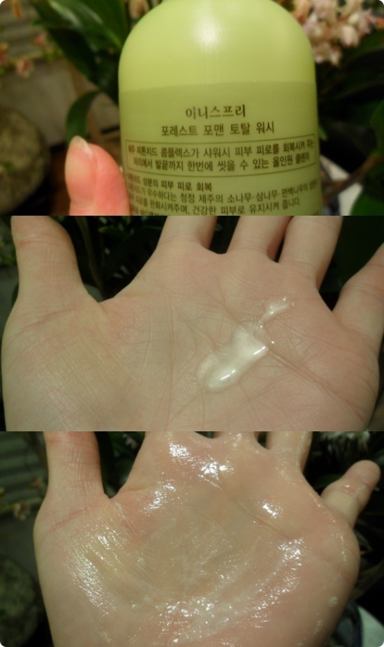 토탈워시 이미지