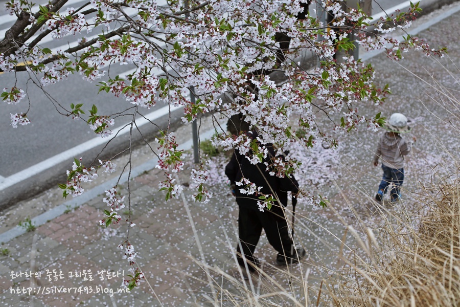 황산복집 이미지