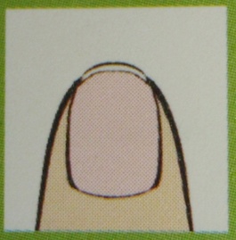 손톱모양 이미지