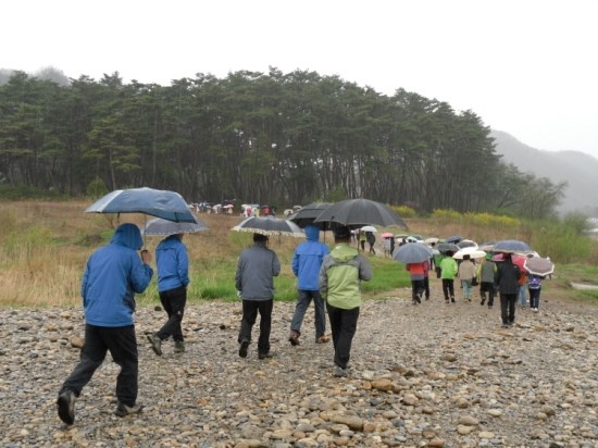 한반도관광 이미지
