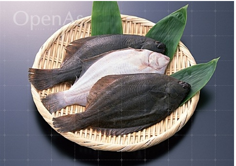 원산도민박숙박 이미지
