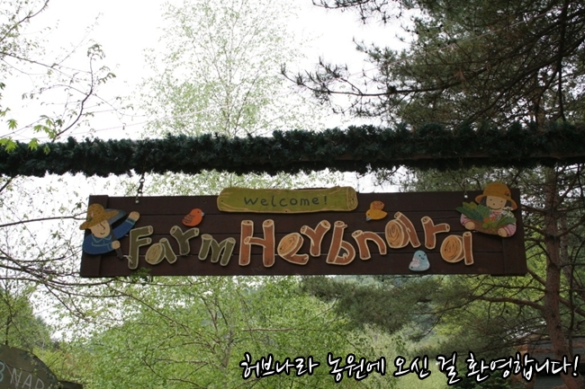 쪽빛나라 이미지