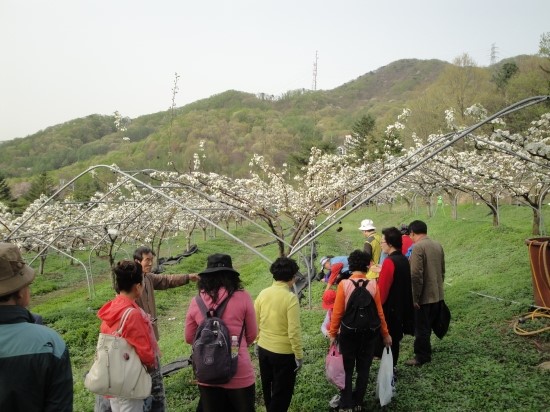 선경농원하늘숲아이자리 이미지
