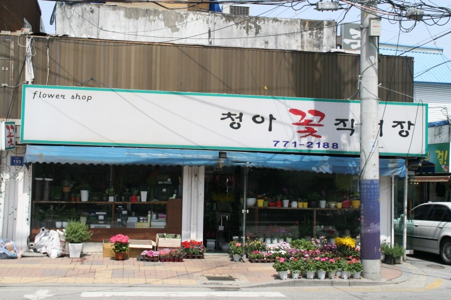 대영이용원 이미지