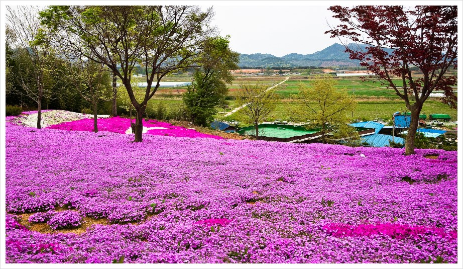 수목원전통찻집 이미지