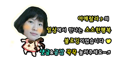 제이에스(JS)텍사스 이미지