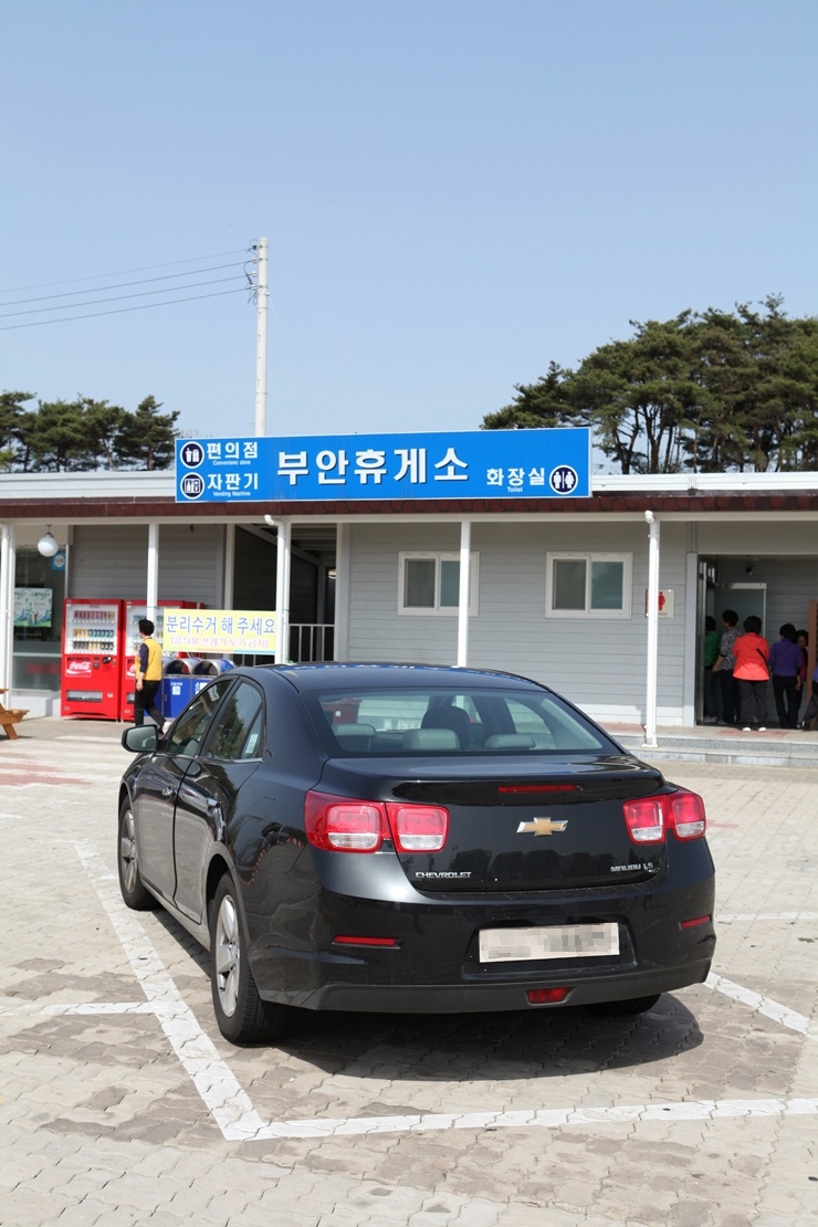 황소와나비 이미지