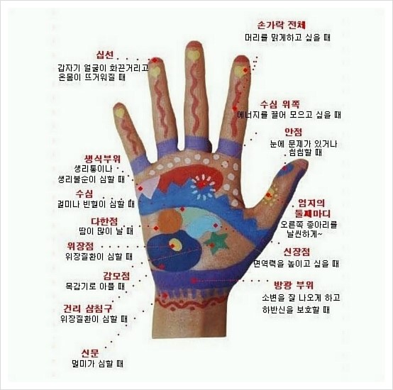 [손지압법]손지압점&손지압법 : 네이버 블로그