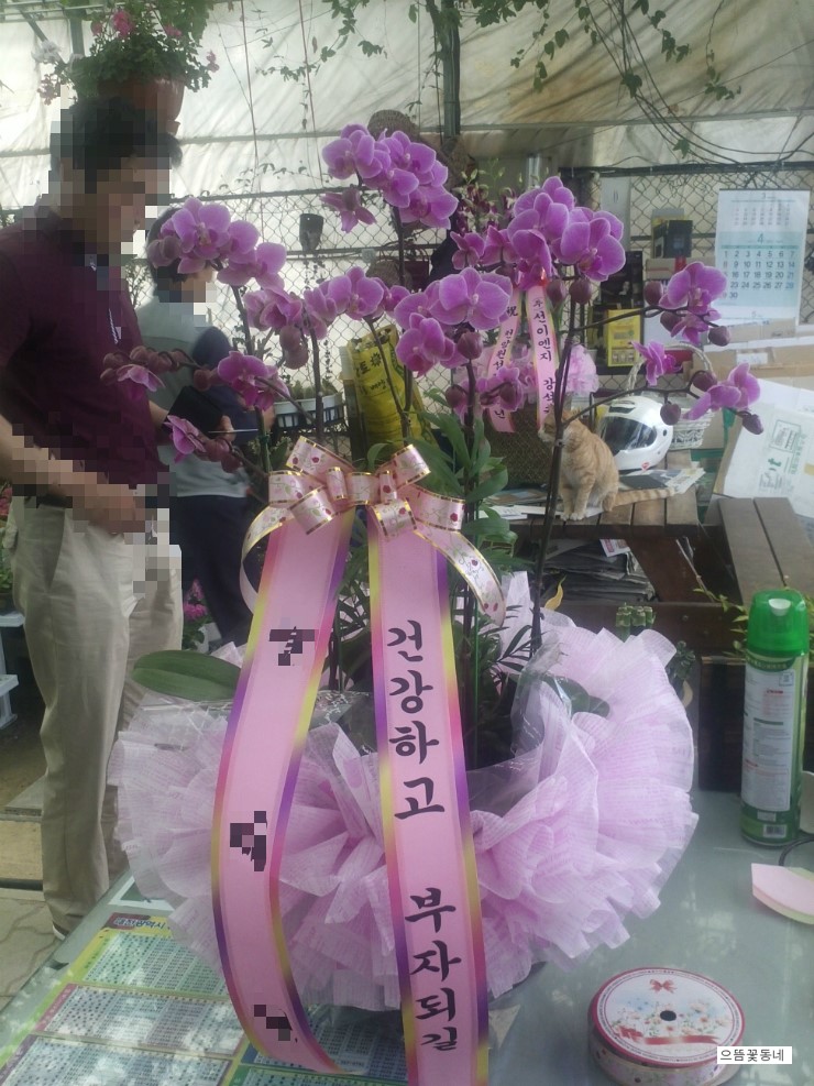 꽃동네화원 이미지