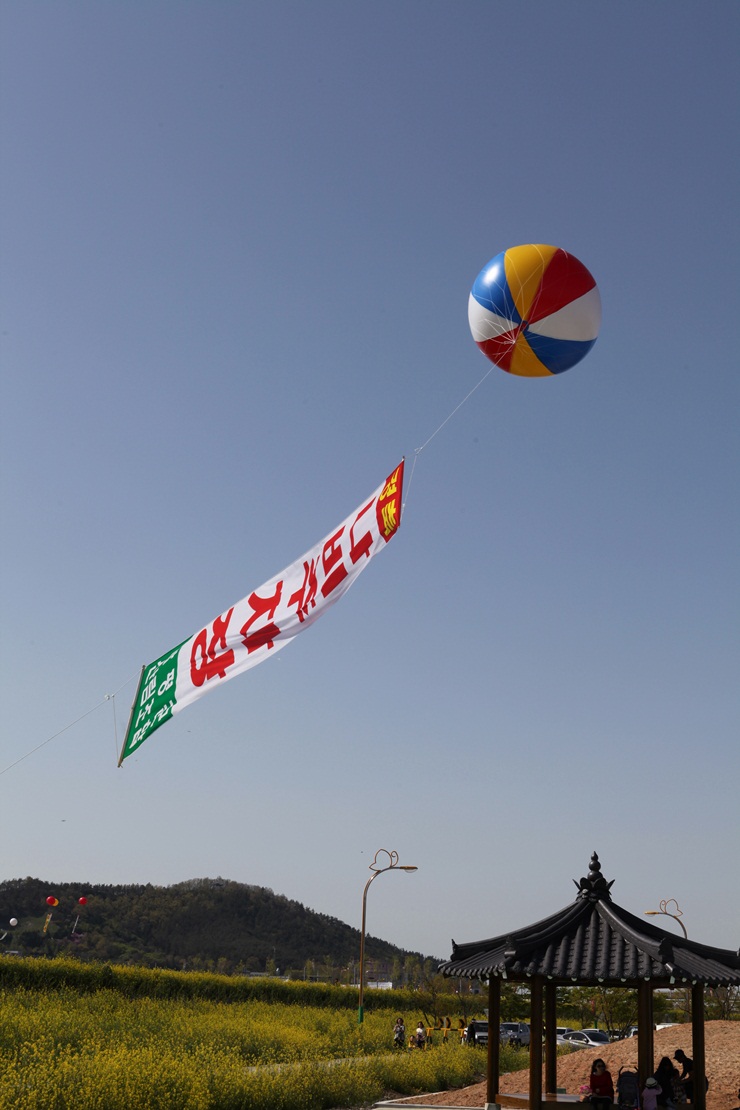 황소와나비 이미지