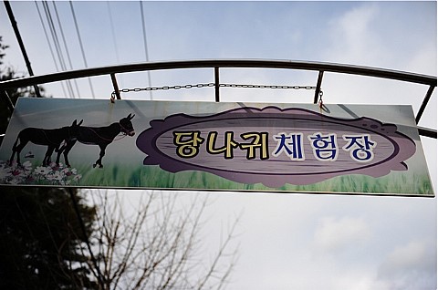 당나귀타는원시마을 이미지