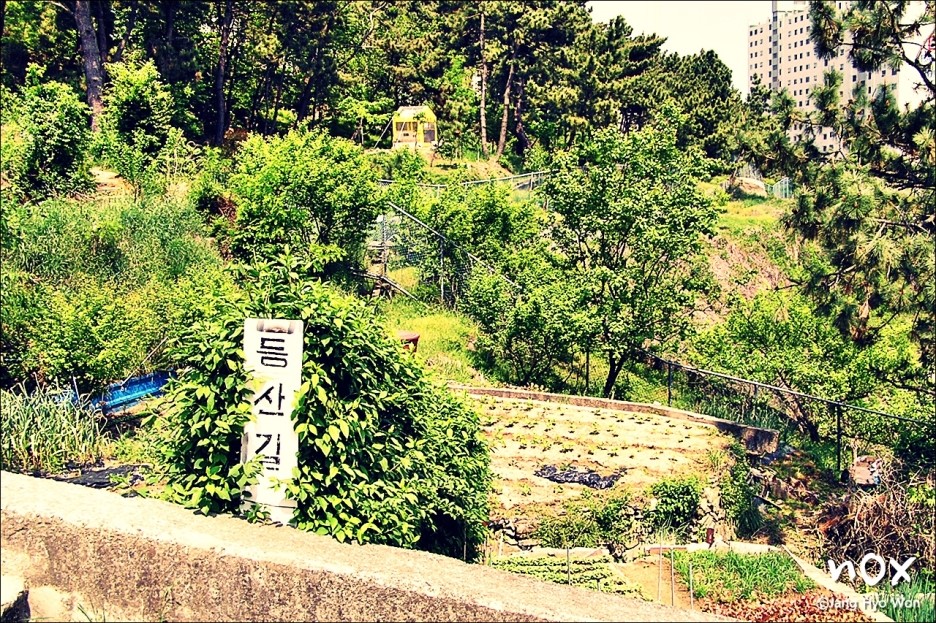 개화초등학교 이미지