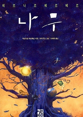 공상나무 이미지