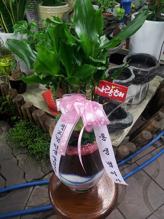 수정꽃화원 이미지