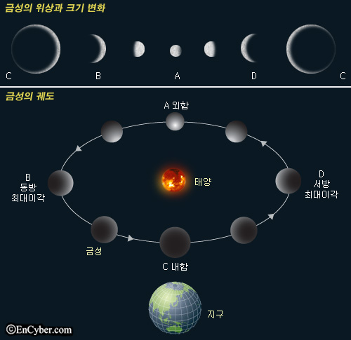 금성장식 이미지