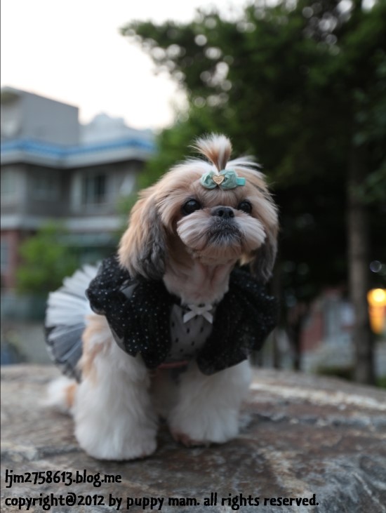 예라 이미지