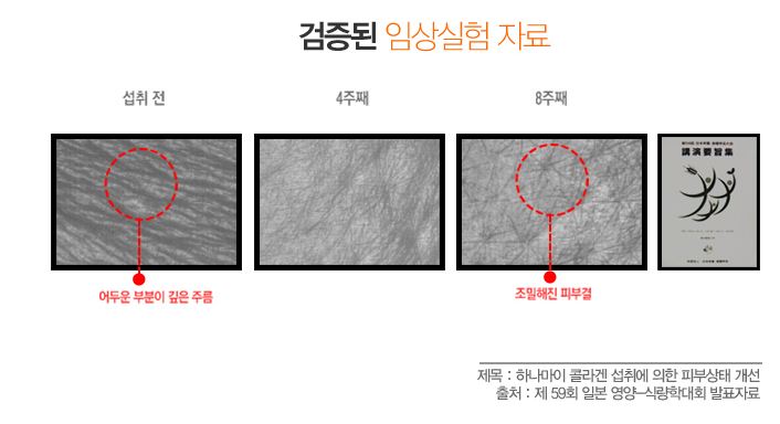 (주)굿씨드 이미지