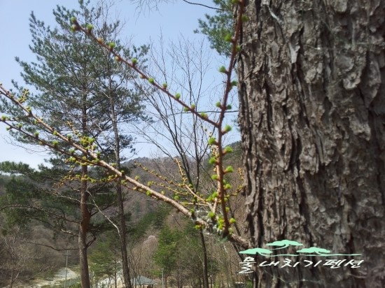 물내치기 이미지