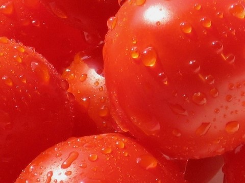 토마토아이스크림 이미지