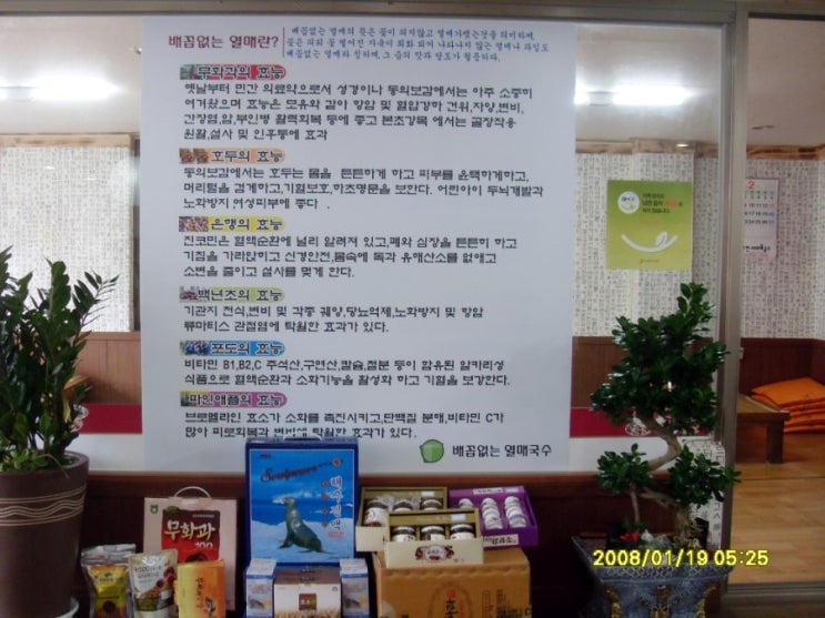 배꼽없는열매 이미지