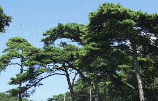 해비치모텔 이미지