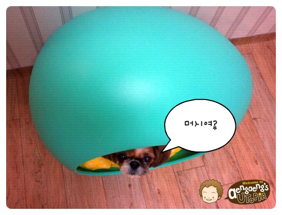 피아민트 이미지