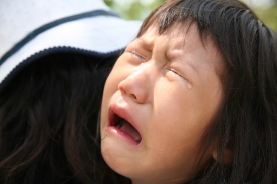 로하스 캠핑테리아 이미지