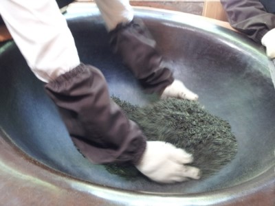 산방댁 이미지