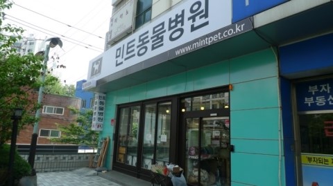 민트병원 이미지