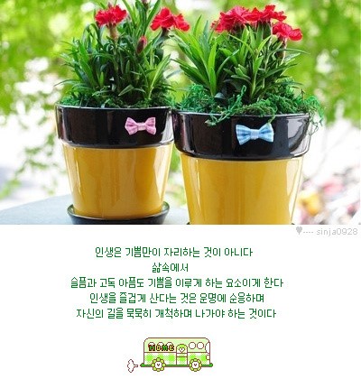 천원의행복 이미지