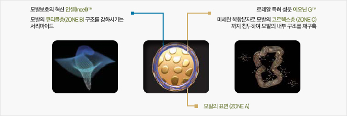 아름다울미 이미지