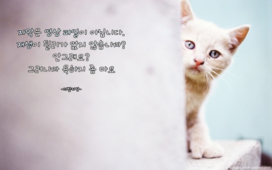 나루코주 이미지