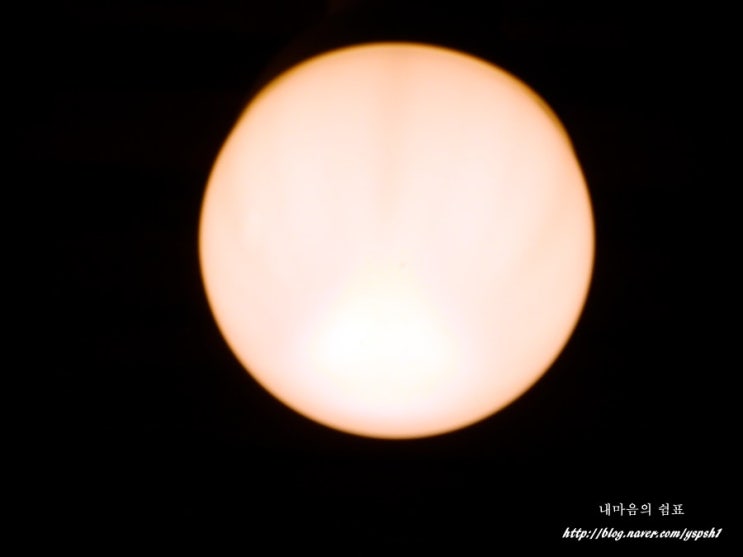 진주커피 이미지