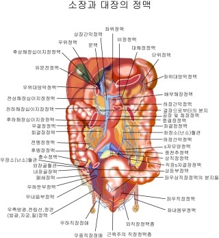 선항외과 이미지