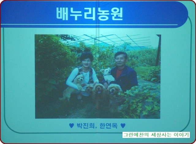 즐거운퀄트 이미지