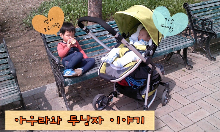 아우라 젠 이미지