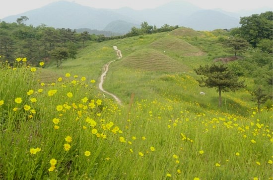 불로고분공원 이미지