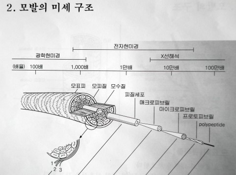 경주미용실 이미지