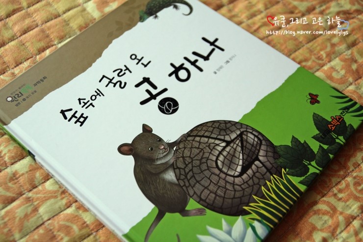 온온공 이미지