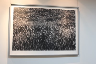 첼로사진예술원 이미지