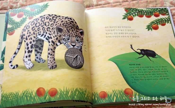 과학숲 이미지