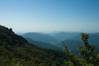 IT모바일 이미지