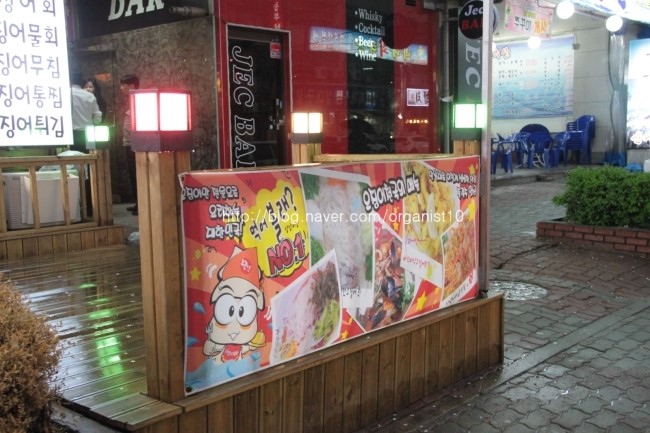 오징어천국완전 이미지
