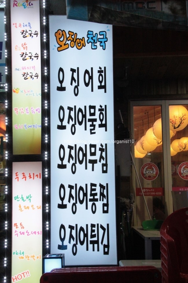 오징어천국완전 이미지