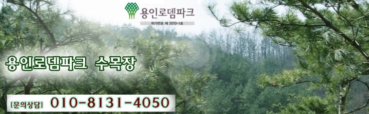 기독교로뎀 이미지