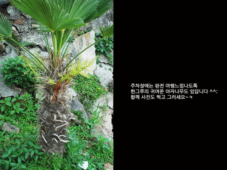 반도장여관 이미지