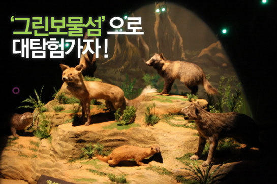 보물섬이벤트 이미지
