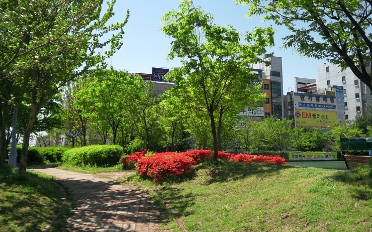 오월의숲 이미지