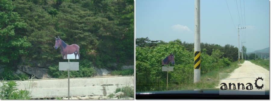 오로라승마장 이미지
