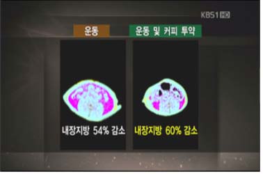 자연식단 이미지